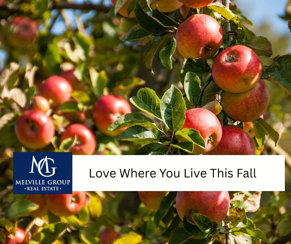 Fall events: An apple orchard in Apple Hill
